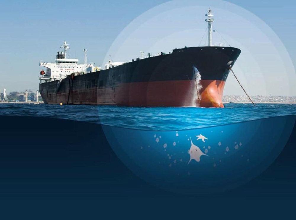 BALLAST WATER MANAGEMENT SEMINARS BALLAST WATER MANAGEMENT SEMINARS